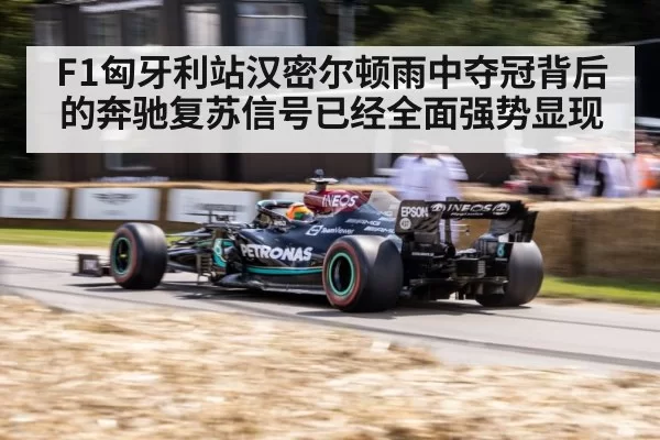 Mercedes F1 car